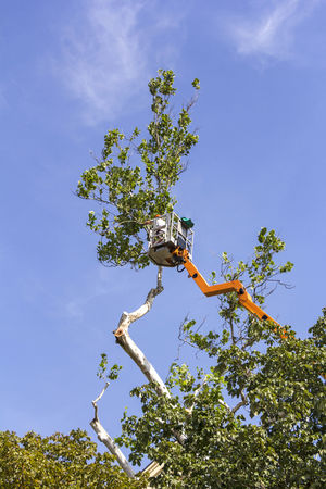 Crane services by Evening Shade Tree Surgeons LLC