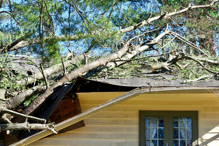 Storm damage cleanup by Evening Shade Tree Surgeons LLC