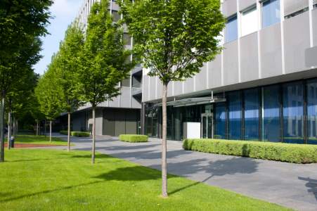 Commercial tree services by Evening Shade Tree Surgeons LLC