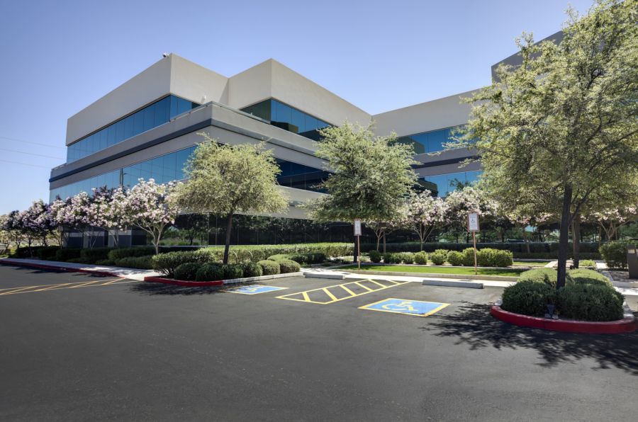 Commercial tree services by Evening Shade Tree Surgeons LLC