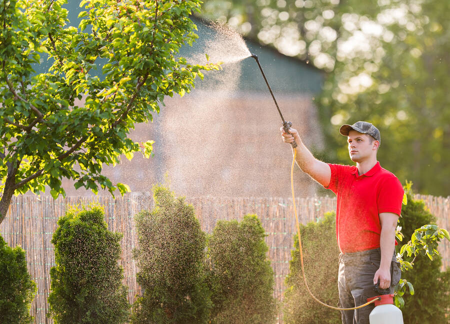 Tree Spraying by Evening Shade Tree Surgeons LLC