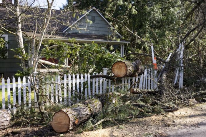 Fallen tree trunks and debris beside a house and white picket fence after emergency removal