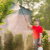 Edgewater Tree Spraying by Evening Shade Tree Surgeons LLC