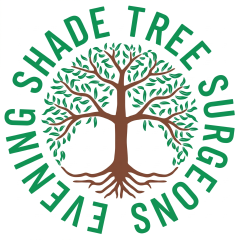 Evening Shade Tree Surgeons LLC