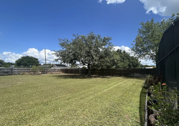 Tree Services in Deltona, FL (1)