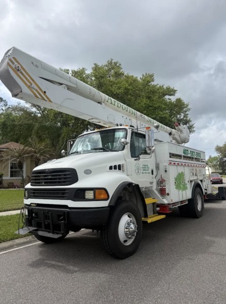 Tree Services in DeLand, FL (1)