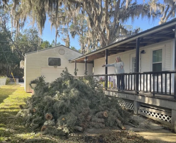 Tree Removal in Debary, FL (1)