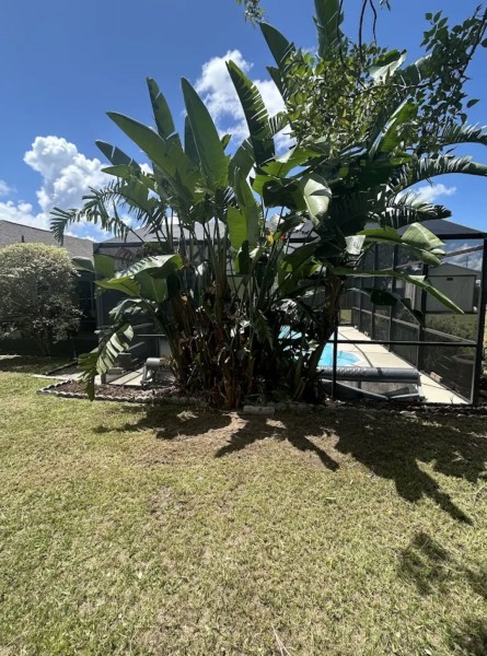 Tree Services in Flagler Beach, FL (1)